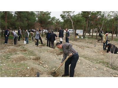 مراسم روز درختکاری در ستاد و منطقه عملیاتی نفت خزر برگزار شد