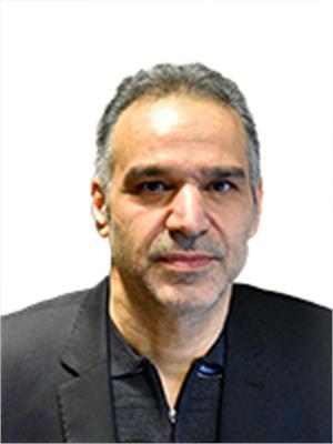 ملک محمد گیتی